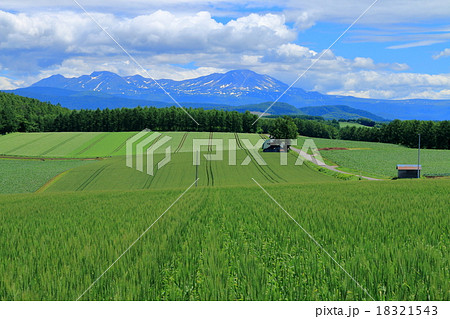 北海道美瑛の風景 18321543