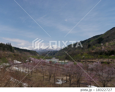 東北の春 18322727