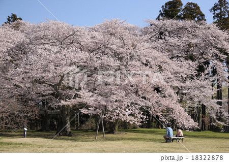 三神峯公園 18322878