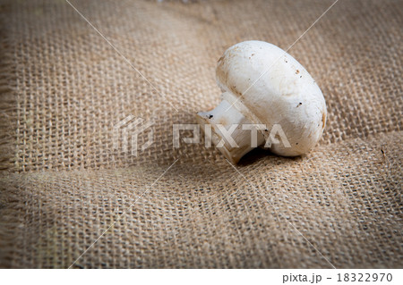 Champignon on wooden background Champignon on wooden background 18322970
