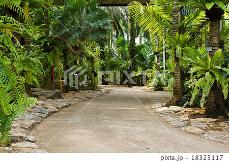 Stone pathway into garden 18323117