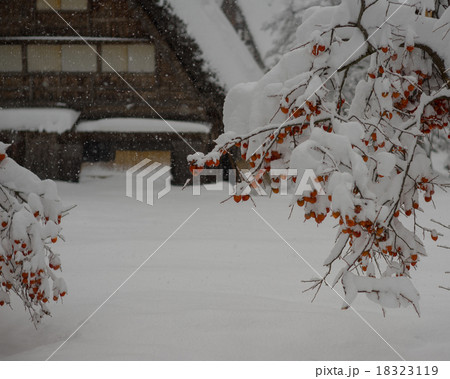 合掌造りの雪景色 18323119
