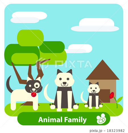 Family dog on the background of trees and sky 18323982