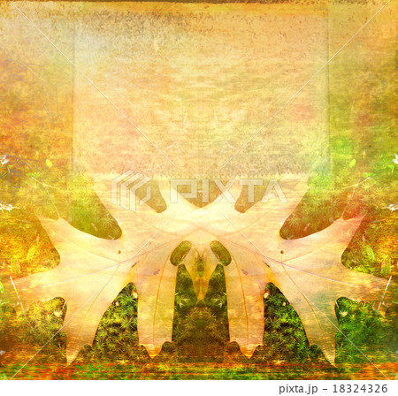 frame on autumn background frame on autumn background 18324326