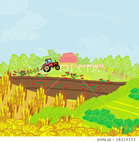 Tractor plowing field 18324353