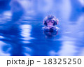 イジイジ 18325250