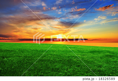 Sunset over the green field 18326589
