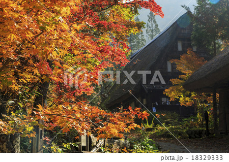 平湯 平湯 18329333