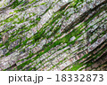 堆積岩の苔壁 18332873