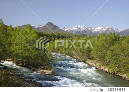 早春の川 18333933