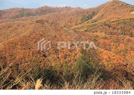 赤城鍋割山から見る紅葉 赤城鍋割山から見る紅葉 18333984