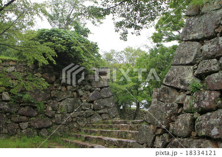 洲本城 洲本城 18334121