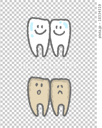 Front tooth twins set 18334319