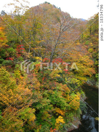 奥胎内の紅葉 奥胎内の紅葉 18334796