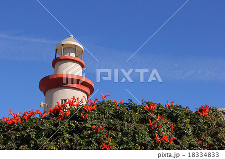 エンセナダの灯台 エンセナダの灯台 18334833