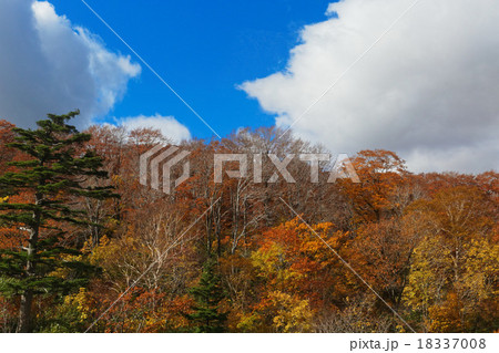十和田八幡平国立公園の後生掛温泉の紅葉 18337008