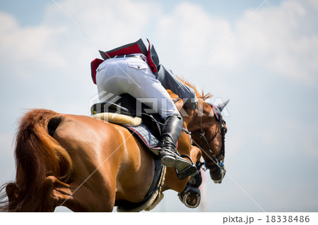 Equestrian Sports Equestrian Sports 18338486