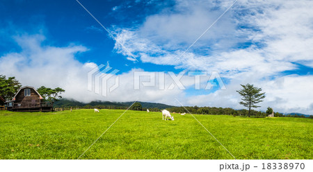 宮城蔵王の牧場 18338970