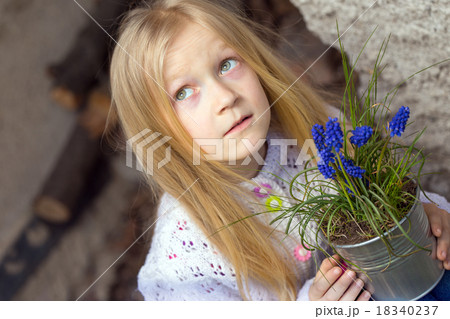 Hyacinthus Hyacinthus 18340237