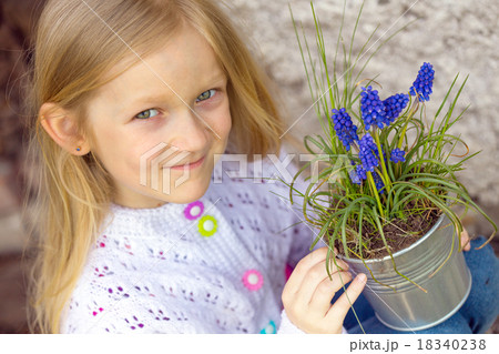 Hyacinthus Hyacinthus 18340238