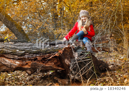 little girl in the autumn forest little girl in the autumn forest 18340246