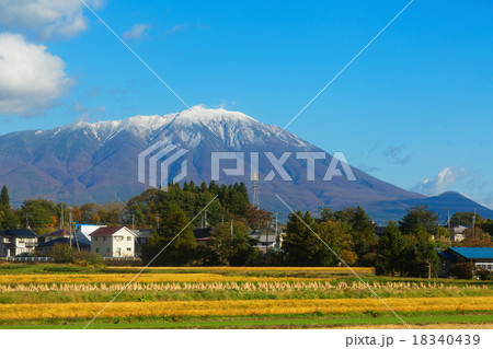 初冠雪の岩手山と麓の田園風景の写真素材