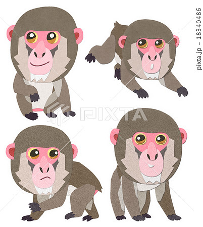 かわいいニホンザルのイラスト素材