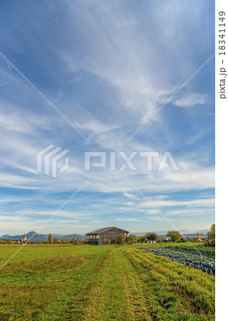 Country scene in autumn Country scene in autumn 18341149