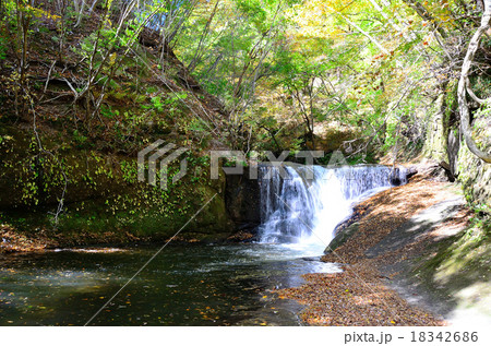 西の郷遊歩道 一休みの滝~2015初秋 西の郷遊歩道 一休みの滝~2015初秋 18342686