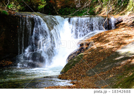 西の郷遊歩道 一休みの滝~2015初秋 西の郷遊歩道 一休みの滝~2015初秋 18342688