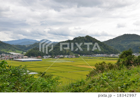 長谷堂城全景 長谷堂城全景 18342997