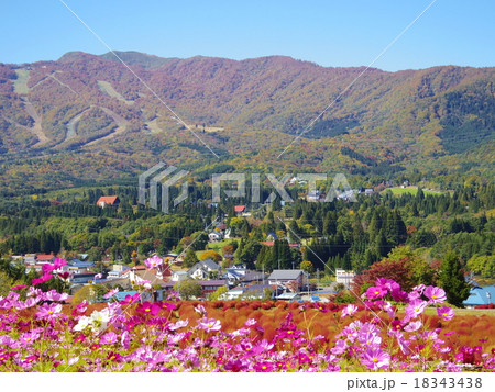 ひるがの高原コキアパークより 18343438