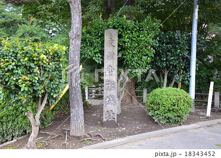 山形城　石碑 18343452