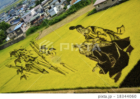 田舎館村・田んぼアート 田舎館村・田んぼアート 18344060