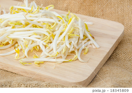 Mung beans or bean sprouts 18345809