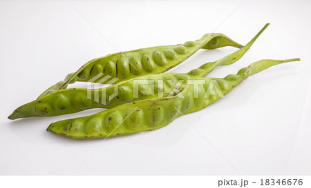 Parkia speciosa isolated on white background 18346676
