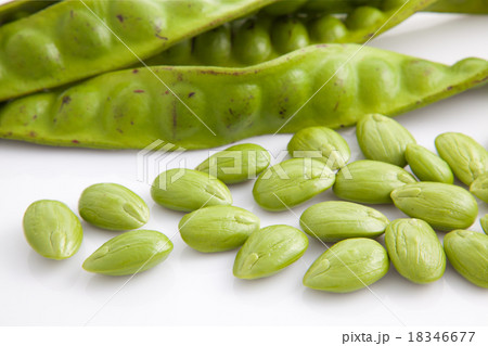 Parkia speciosa isolated on white background 18346677