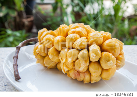 Group of fresh chempedak arils 18346831