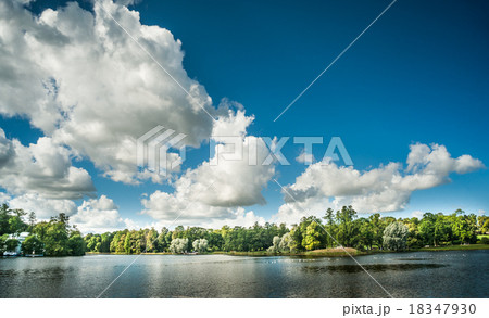 Beautiful russian landscape with willows 18347930