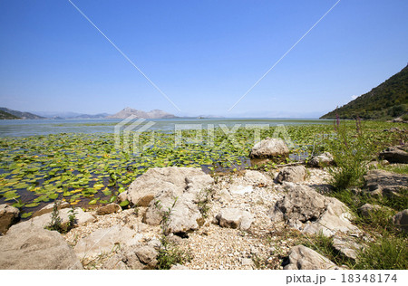 Lake Skadar   18348174