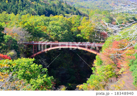 雪割渓谷~2015秋 雪割橋 雪割渓谷~2015秋 雪割橋 18348940