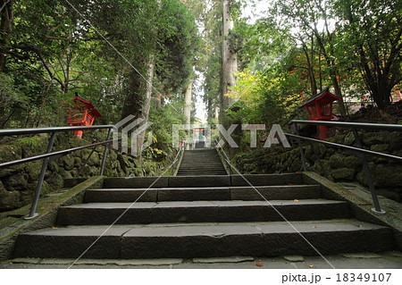 箱根神社(石段) 箱根神社(石段) 18349107