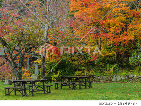 蔦温泉前 18349737