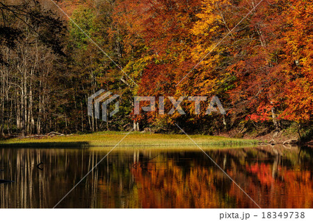 長沼 長沼 18349738