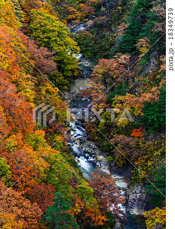 城ヶ倉渓谷 18349739