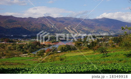 飯山秋の菜の花公園 飯山秋の菜の花公園 18349918