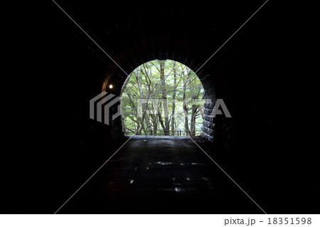 旧天城トンネル 18351598