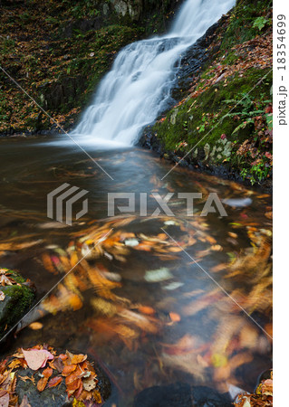 秋の宇津江四十八滝  梵音滝（きよのき）滝  岐阜県高山市国府町 18354699