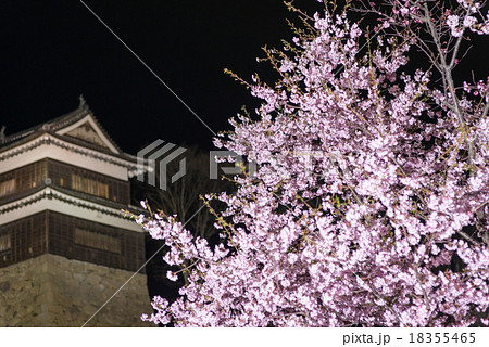 夜桜と上田城 18355465