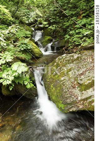 尾瀬ヶ原　三条の滝近くの清流 18358158